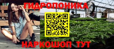 твердый Новозыбков