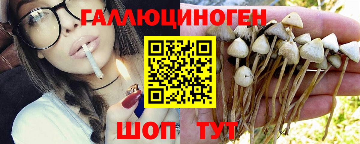 Псилоцибиновые грибы MAGIC MUSHROOMS Таганрог