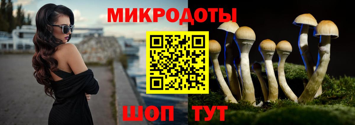Галлюциногенные грибы Psilocybine cubensis  Вход с VPN  Таганрог  Галлюциногенные грибы прущие грибы 